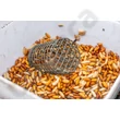 Kép 2/4 - PRESTON WIRE BAIT UP FEEDER (P0050118-)