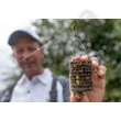 Kép 4/4 - PRESTON WIRE BAIT UP FEEDER (P0050118-)
