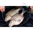 Kép 4/6 - PRESTON DEEP QUICK DRY LANDING NET (P0140010-)