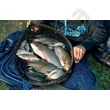 Kép 2/6 - PRESTON DEEP QUICK DRY LANDING NET (P0140010-)