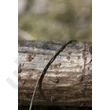Kép 2/2 - AVID CARP - PINDOWN HOOKLINK 20LB (A0560001)