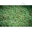Kép 3/4 - MAINLINE Match Green Supreme Fishmeal - 1kg