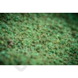 Kép 3/4 - MAINLINE Match Green Supreme Fishmeal - 1kg